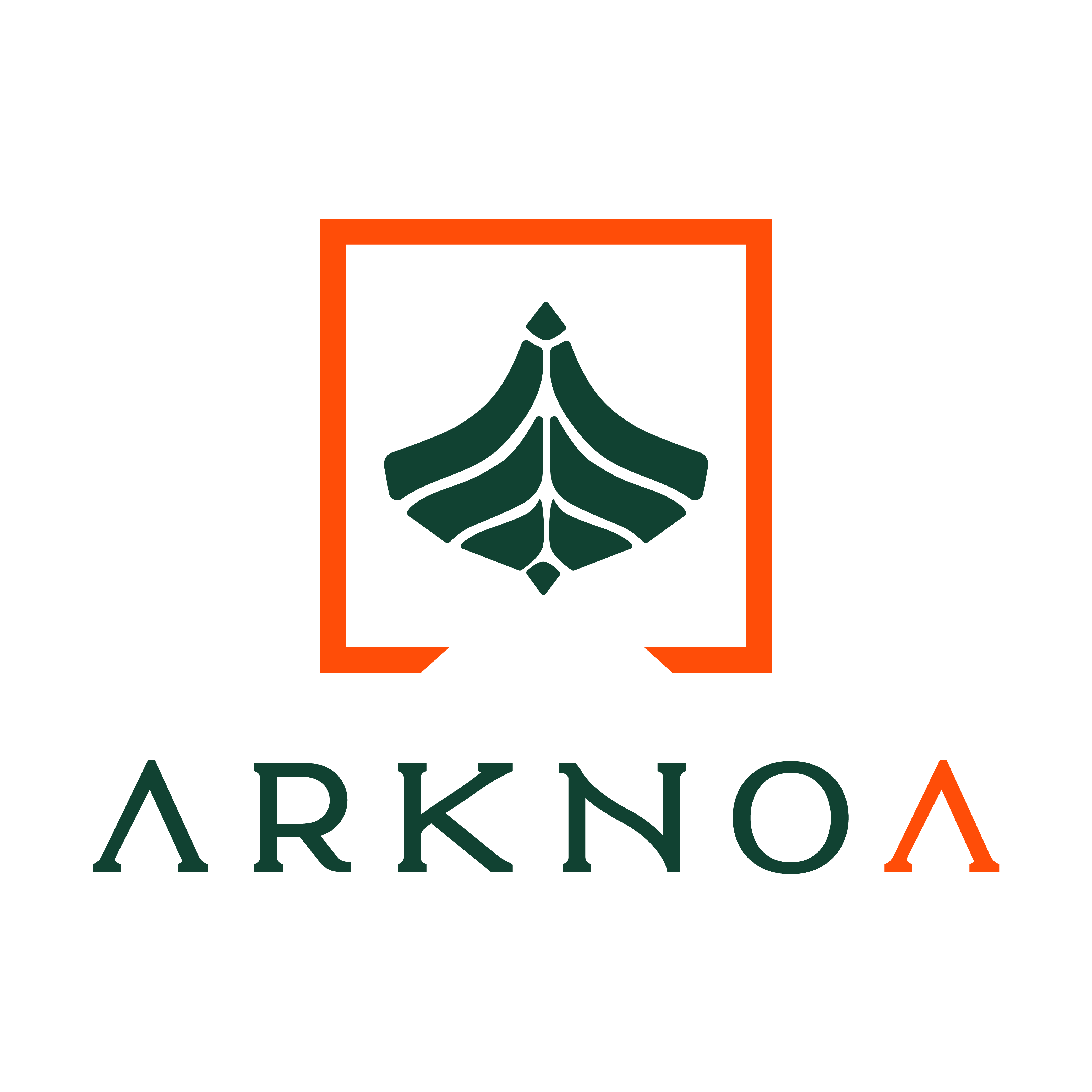 Arknoa Logo